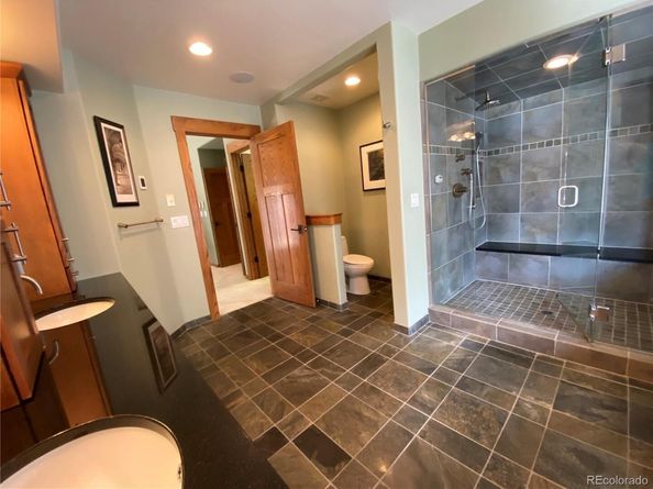 1145 S Williams Street, Denver CO 80210