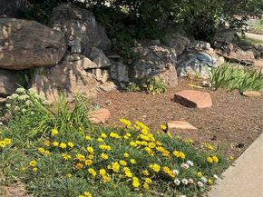 6801 Carr Street, Arvada CO 80004