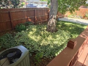 2 Forsyth Drive, Longmont CO 80504