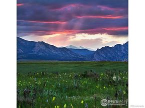 9373 Pike Way, Arvada CO 80007