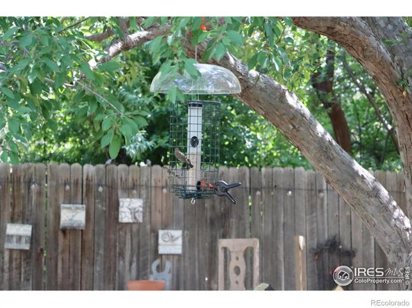 1179 Lilac Street, Broomfield CO 80020
