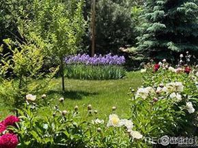 2020 Highway 42, Louisville CO 80027