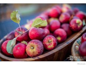 2447 20th Street, Boulder CO 80304