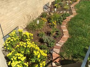 1481 Ash Street 2, Denver CO 80220