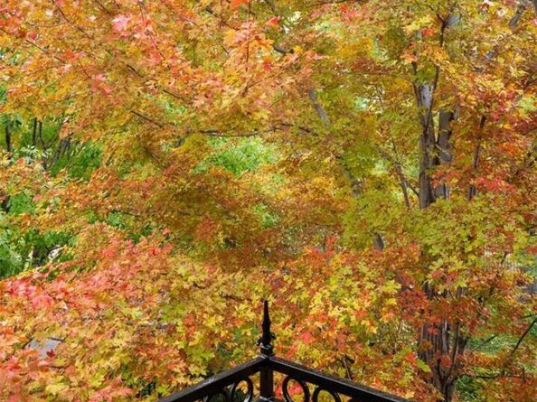 445 Madison Street N, Denver CO 80206