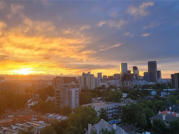 800 N Pearl Street 1109, Denver CO 80203