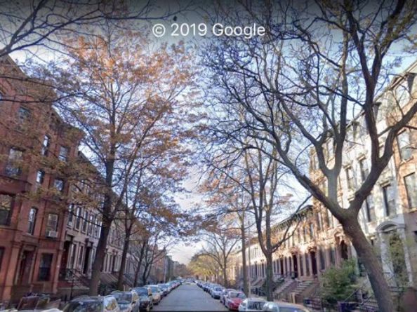 550 Vanderbilt Avenue 212, Brooklyn NY 11238