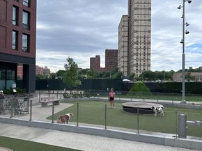 550 Vanderbilt Avenue 212, Brooklyn NY 11238