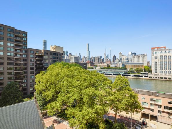 555 Main Street 909, New York NY 10044