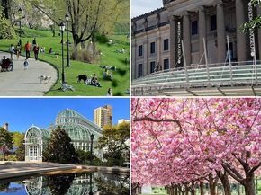 1214 Pacific Street 4, Brooklyn NY 11216