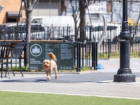 500 4th Avenue 9F, Brooklyn NY 11215