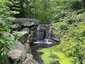 467 Central Park W 14B, New York NY 10025