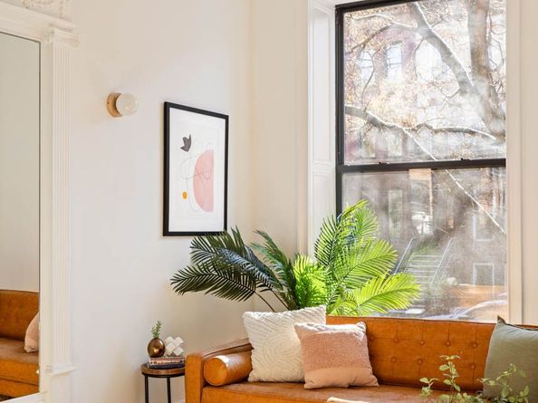 323 Jefferson Avenue, Brooklyn NY 11216