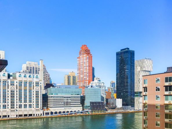 555 Main Street 1002, New York NY 10044