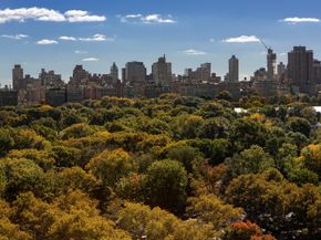 392 Central Park W 19A, New York NY 10025