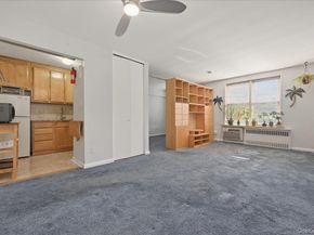 100 Brooklyn Avenue 4V, Freeport NY 11520