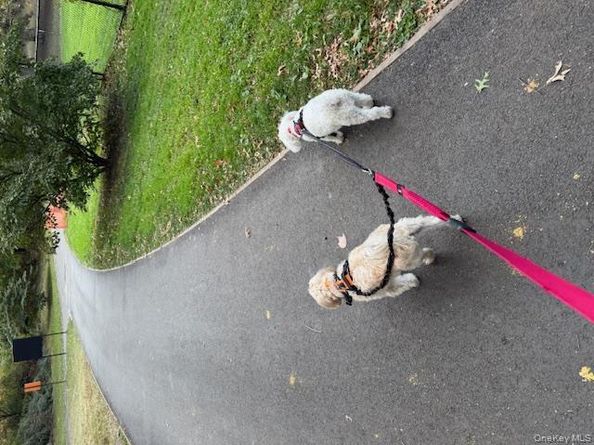 382 Central Park W 16U, New York (Manhattan) NY 10025