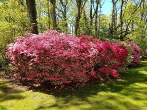 8 Old Wood Road, Stony Brook NY 11790