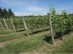 470 Goose Creek Lane, Southold NY 11971