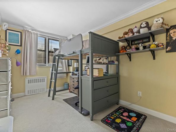 60 Barker Street 317, Mount Kisco NY 10549