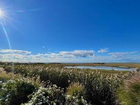 7 Crescent Cove Drive, Seaford NY 11783