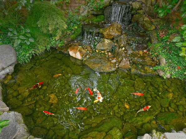 87-07 158th Avenue, Howard Beach NY 11414