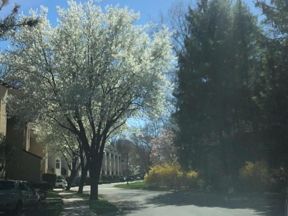 356 North Greeley Avenue, Chappaqua NY 10514
