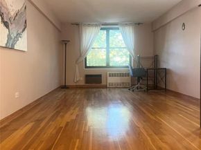 139-15 83rd Avenue 407, Briarwood NY 11435