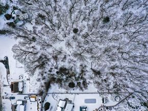 37 Christian Avenue, Setauket NY 11733