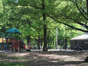 3239 Barker Avenue 2J, Bronx NY 10467