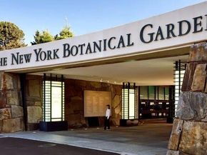 3239 Barker Avenue 2J, Bronx NY 10467