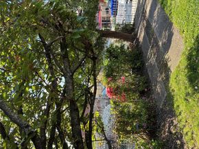 2216 Seward Avenue, Bronx NY 10473