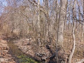 43 Harrison Avenue, Hauppauge NY 11788