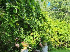 30 Grove Place, Danbury CT 06810