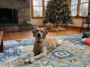21 Geneva Road, Norwalk CT 06850