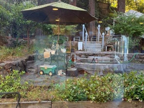 Undisclosed Address #426139695, Piedmont CA 94611