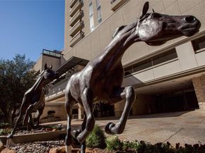 5909  Luther Lane  2104, Dallas Texas 75225