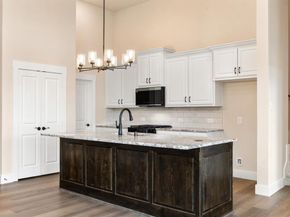 12520  Audubon Trail  , Rowlett Texas 75089