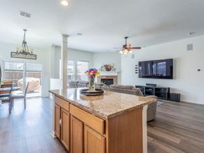 1404  Kittyhawk Drive , Little Elm Texas 75068