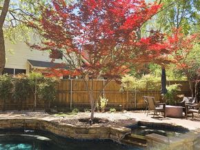 113  Lake Forest Court , Garland Texas 75044