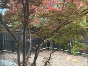 672  Channel Ridge Drive , Rockwall Texas 75087