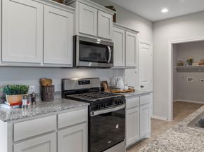 548  SHADED Grove , Denton Texas 76259