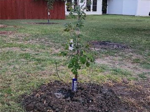 200  Seagull Court , Irving Texas 75060