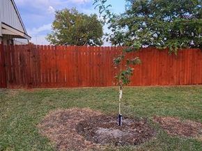 200  Seagull Court , Irving Texas 75060