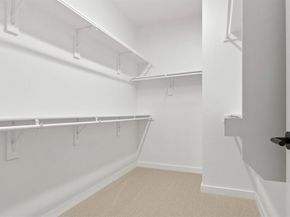 4610  White Buffalo Trail , Oak Point Texas 75068