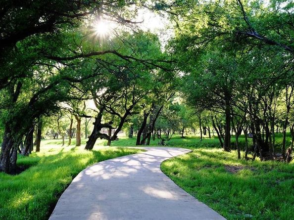 3950  Ironwood Drive , Prosper Texas 75078