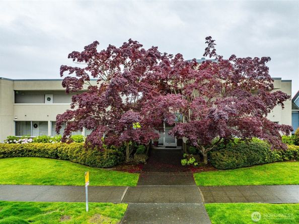 4457 44th Avenue SW 101, Seattle WA 98116