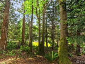 15454 SE 67th Street, Bellevue WA 98006