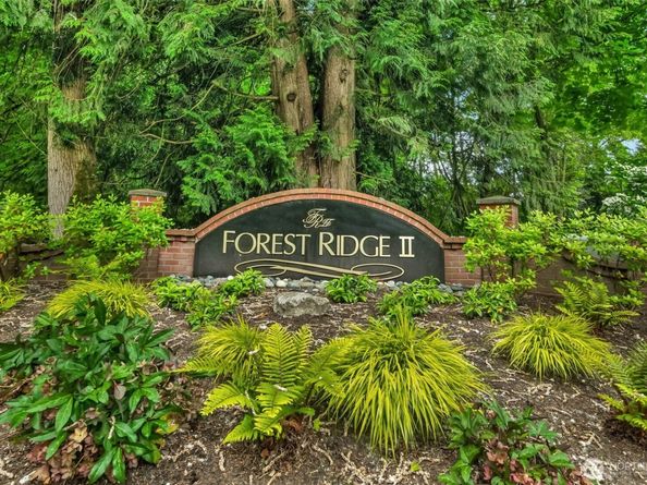 15454 SE 67th Street, Bellevue WA 98006