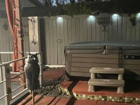 6900 SW 22nd St, Miami FL 33155